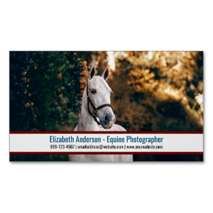 Visitas Magnético Magnet Cartão de visita Fotografador Equino Grande