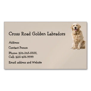 Visitas Magnético Ouro Labrador Cão Pet Animal Cartão de visita Ma