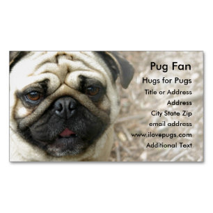 Visitas Magnético Pug Photo - Cartão de visita do Magnet
