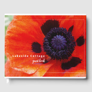 Visitas Papoila Floral Foto de Férias Aluguel Livro