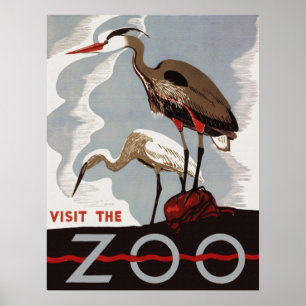 Visite o Poster de Zoológico
