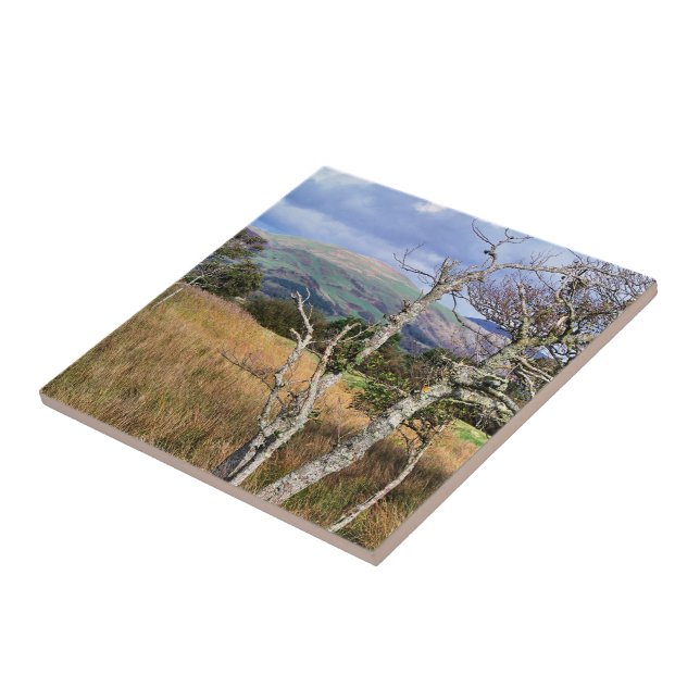 VISÕES DAS PAREDES (Lateral)