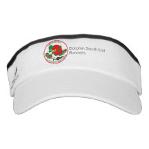 Visor DSE
