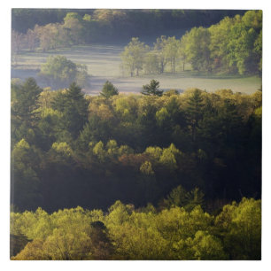 Vista aérea da floresta em Cades Cove, Great Smoky