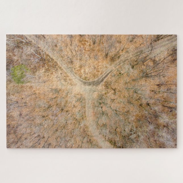 Vista cenital de madeira Quebra-cabeça de serra (Horizontal)