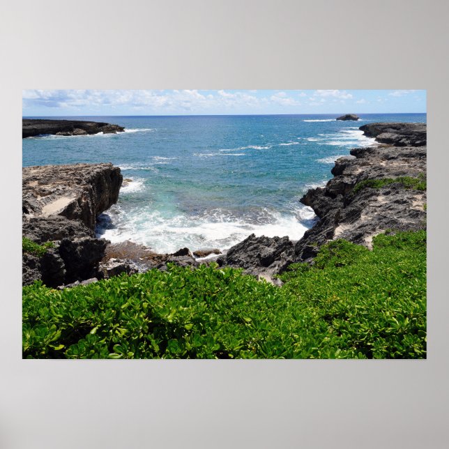 Vista Cênnica do Poster da Costa Havaiana (Frente)