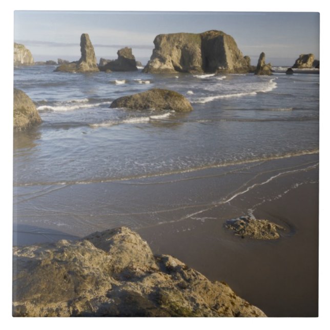 Vista costeira, Bandon, Oregon (Frente)