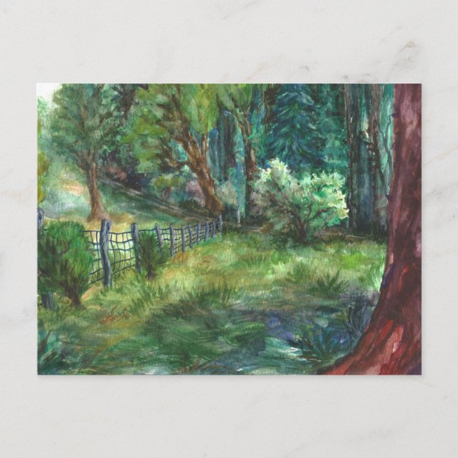 "Vista da Cabana." Cartão postal (Frente)