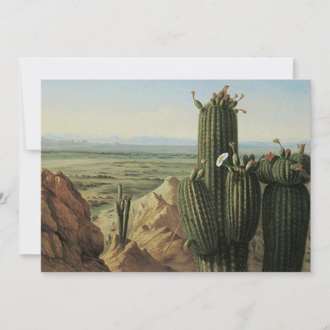 Vista da Montanha Maricopa perto do Rio Gila por P (Frente)