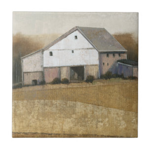 Vista de Barn Branco