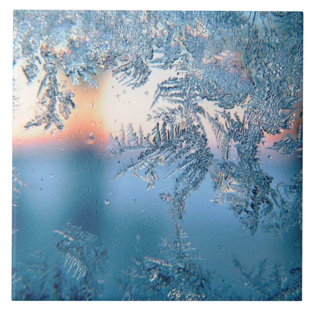 Vista de foscos (Frente)