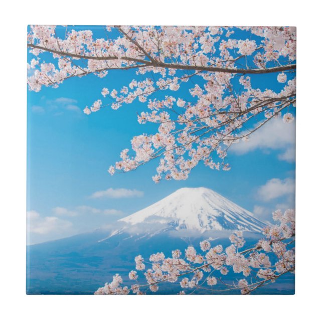 Vista de Monte Fuji com flores de cerejeira (Frente)