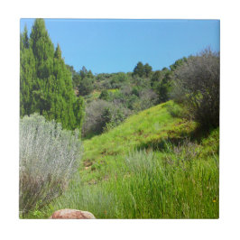 Vista do Azulejo Verde