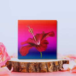 Vista do Lado do Flor Red Hibiscus