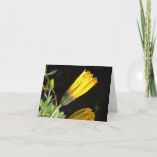Vista em uma margarida amarela - Cartão de Nota