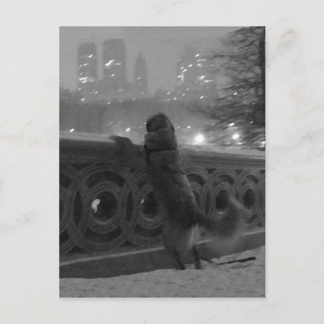 Vista nevada da Bow Bridge-Central Park cartão pos (Frente)