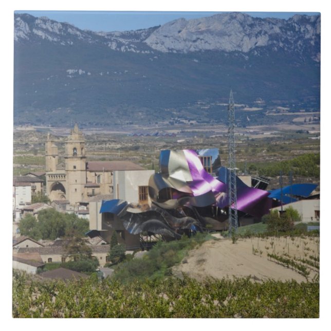 Vista urbana elevada e Hotel Marques de Riscal (Frente)