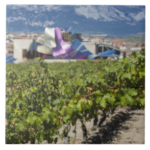 Vista urbana elevada e Hotel Marques de Riscal