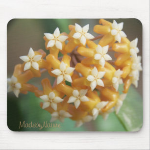 Vitellina Mousepad do aff de Hoya