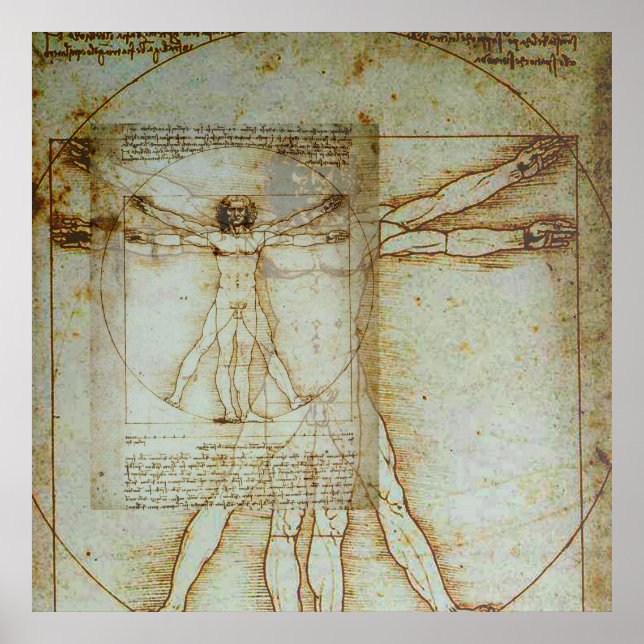 Vitruvian Man Poster (Frente)