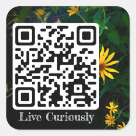 viva curiosamente adesivo