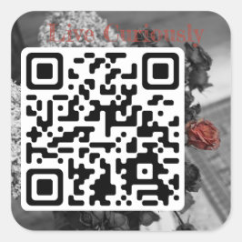 viva curiosamente adesivo