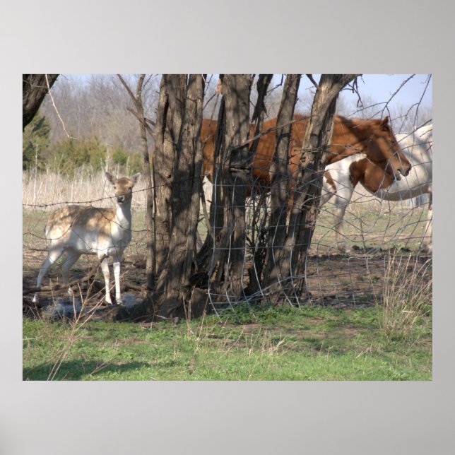 Vivendo juntos Poster (Frente)