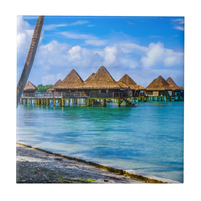 Vivendo na água (Frente)