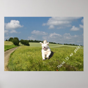 "Viver Como..." Poster - Versão budista (Matriz)!