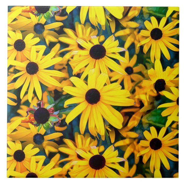 Vivid Black Eyed Susan Rudbeckia Melange (Frente)