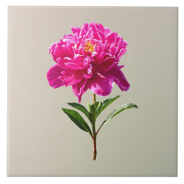 Vivid Pink Peony (Frente)