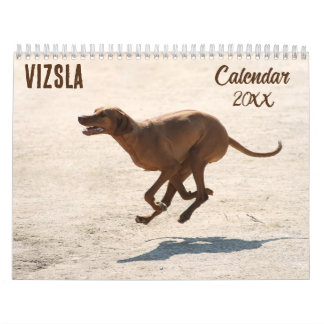 Vizsla Calendário 2026