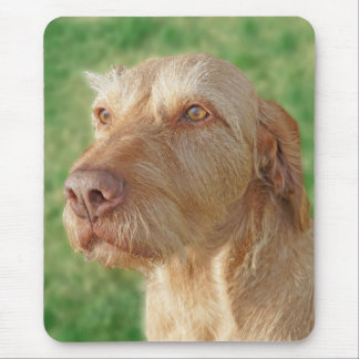 Vizsla Crie Seu Próprio Pet Foto Mousepad Personal