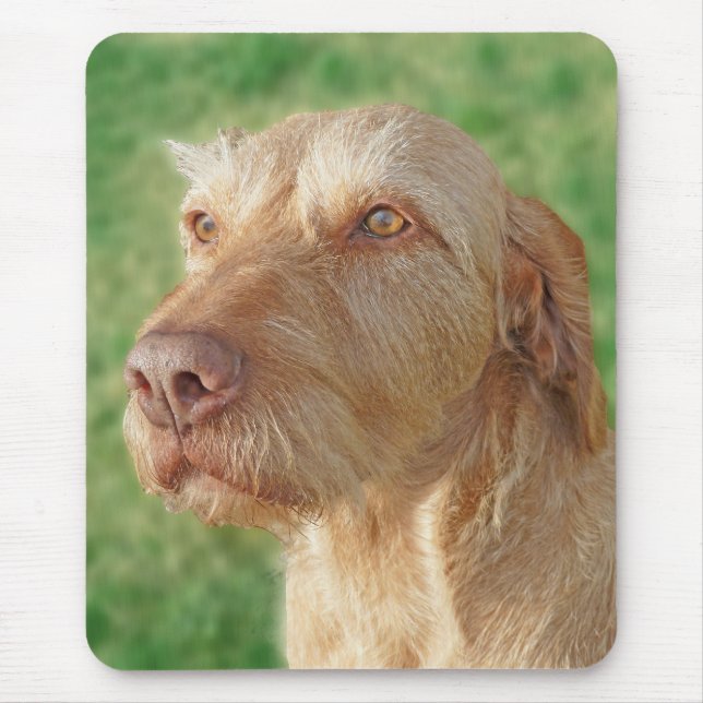 Vizsla Crie Seu Próprio Pet Foto Mousepad Personal (Frente)