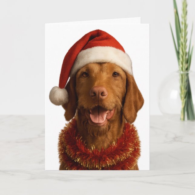 Vizsla de pelo duro com um cartão de Natal com cha (Frente)