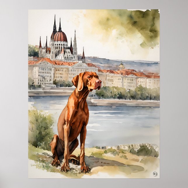 Vizsla Húngara - Impressão de Arte Canina (Frente)