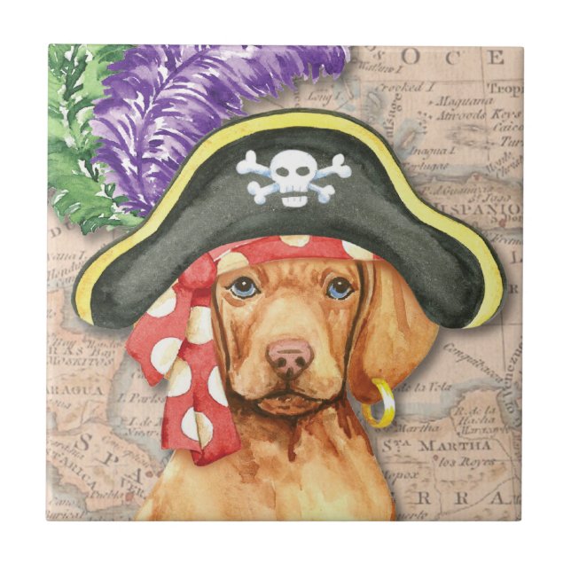 Vizsla Pirate (Frente)