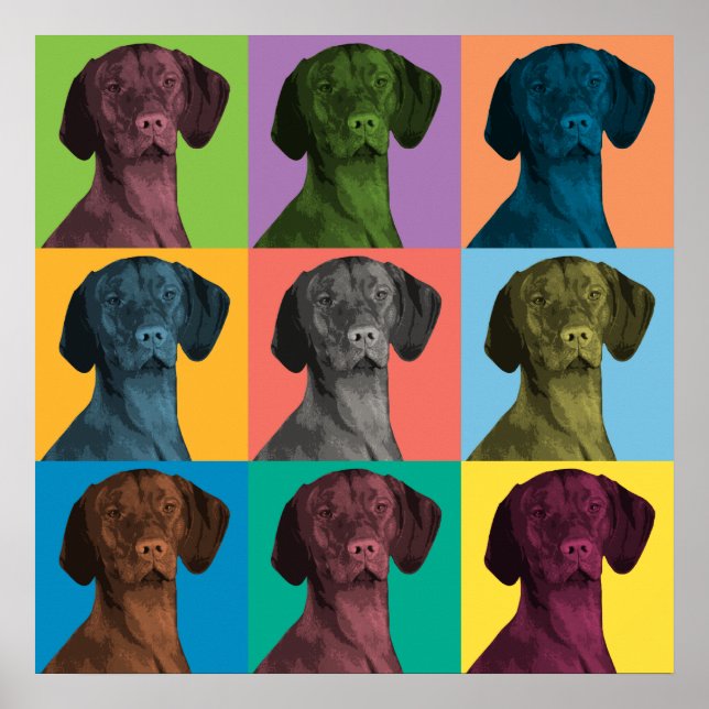 Vizsla Pop-Art Poster (Frente)