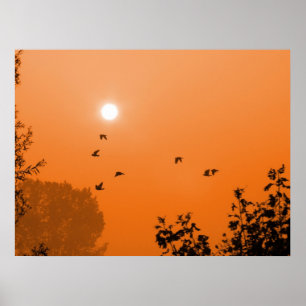Voar no Impressão do amanhecer