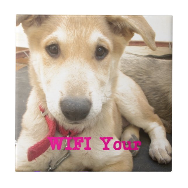 Você Deveria Fazer O Seu Amor Todos Os Dias (Frente)