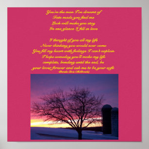 Você é o homem que eu sonhei… do poster do poe