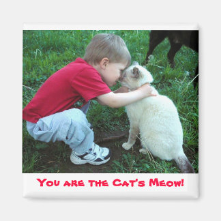 Você é o imã do gato!