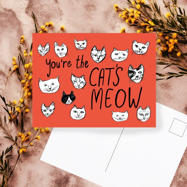 VOCÊ É O MÁXIMO Gatinhos Fofos  Cartão Postal (YOU'RE THE CAT'S MEOW Cute Kittens hand drawn painted Funny Love Postcard
)