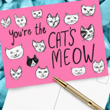 VOCÊ É O XODÓ! Gatinhos Fofos  Cartão Postal