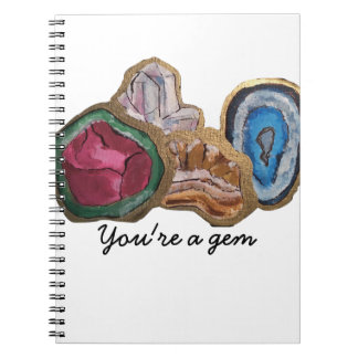 Você é um caderno da gema