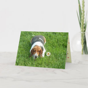 "Você É Um Em Um Milhão" - Um Cartão Só Porque