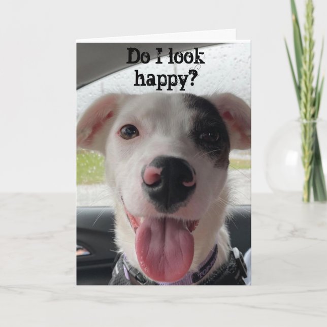 VOCÊ ESTÁ **70** ME FAZ FELIZ COM O CARTÃO CLARO (Frente)