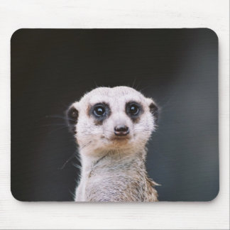 Você está olhando-me? Meerkat Mousepad