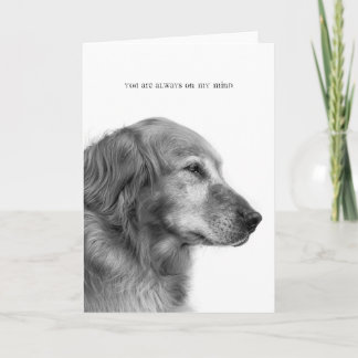 Você está sempre no meu cartão