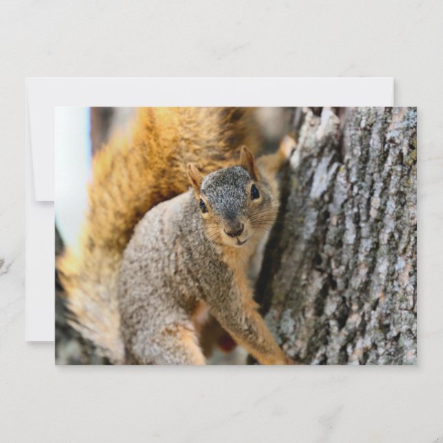 Você está vindo (Frente)